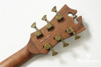 Premier Lexington - Trans Black Cherry Burst